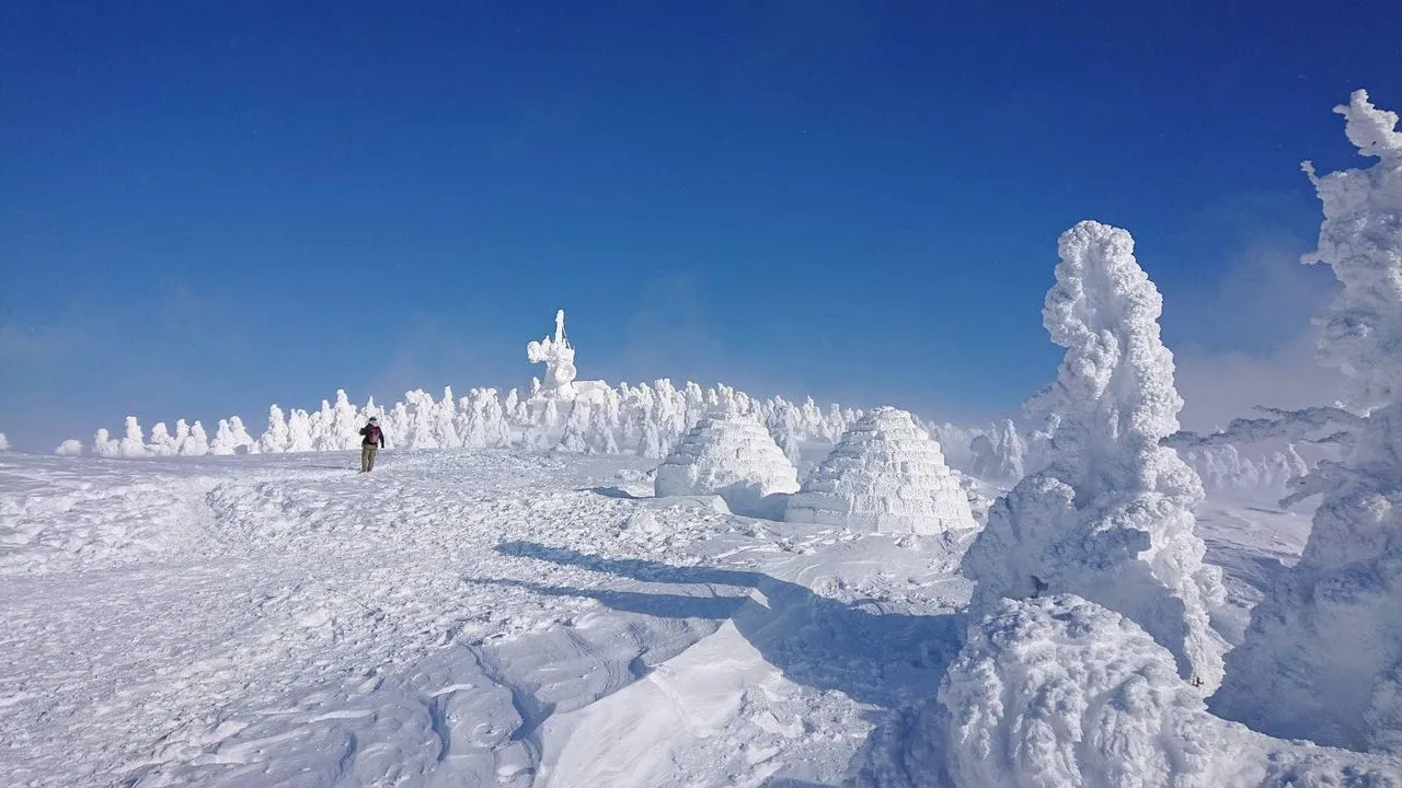 樹氷原に立つイグルー